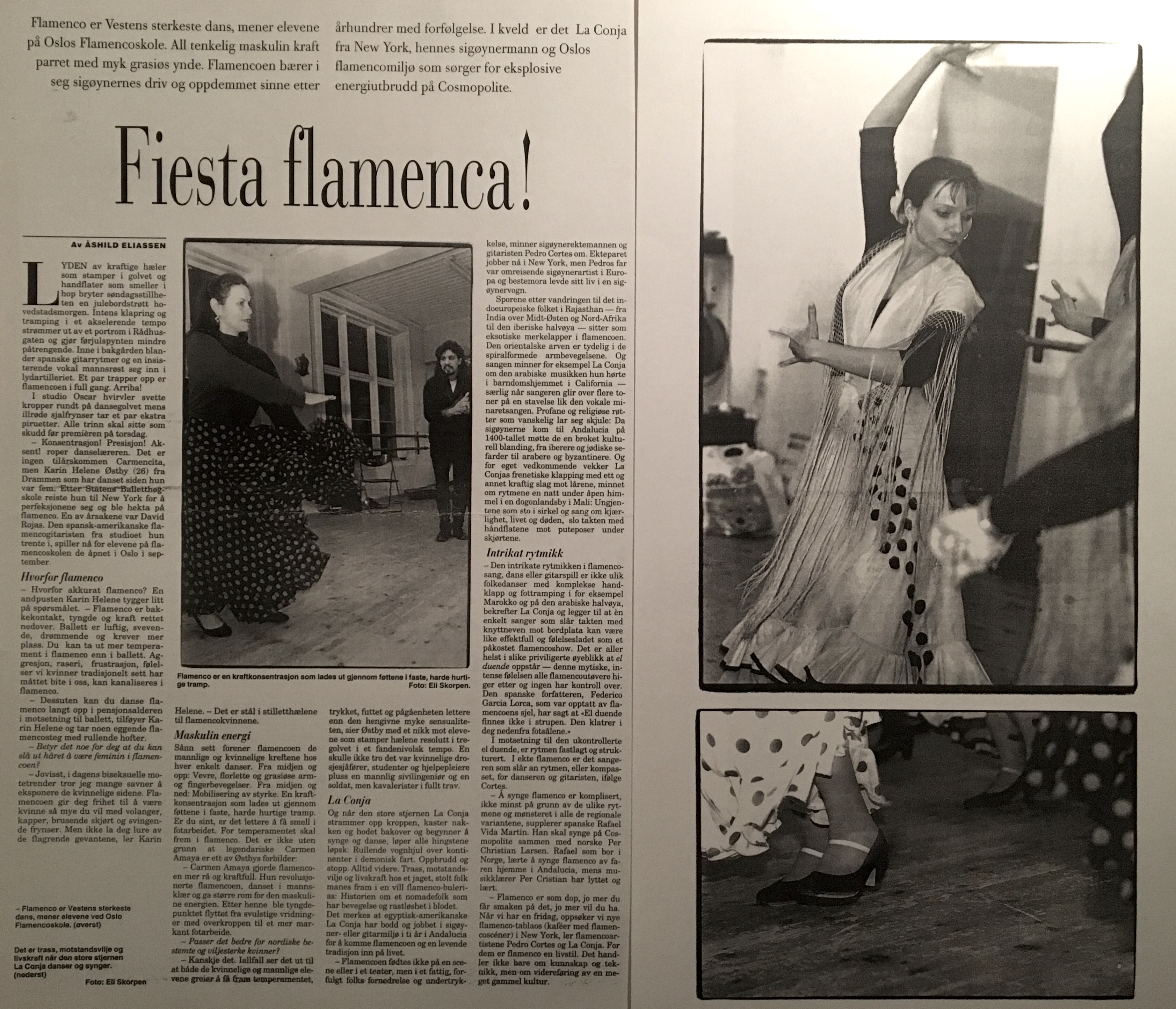 Artikkel Fiesta Flamenca