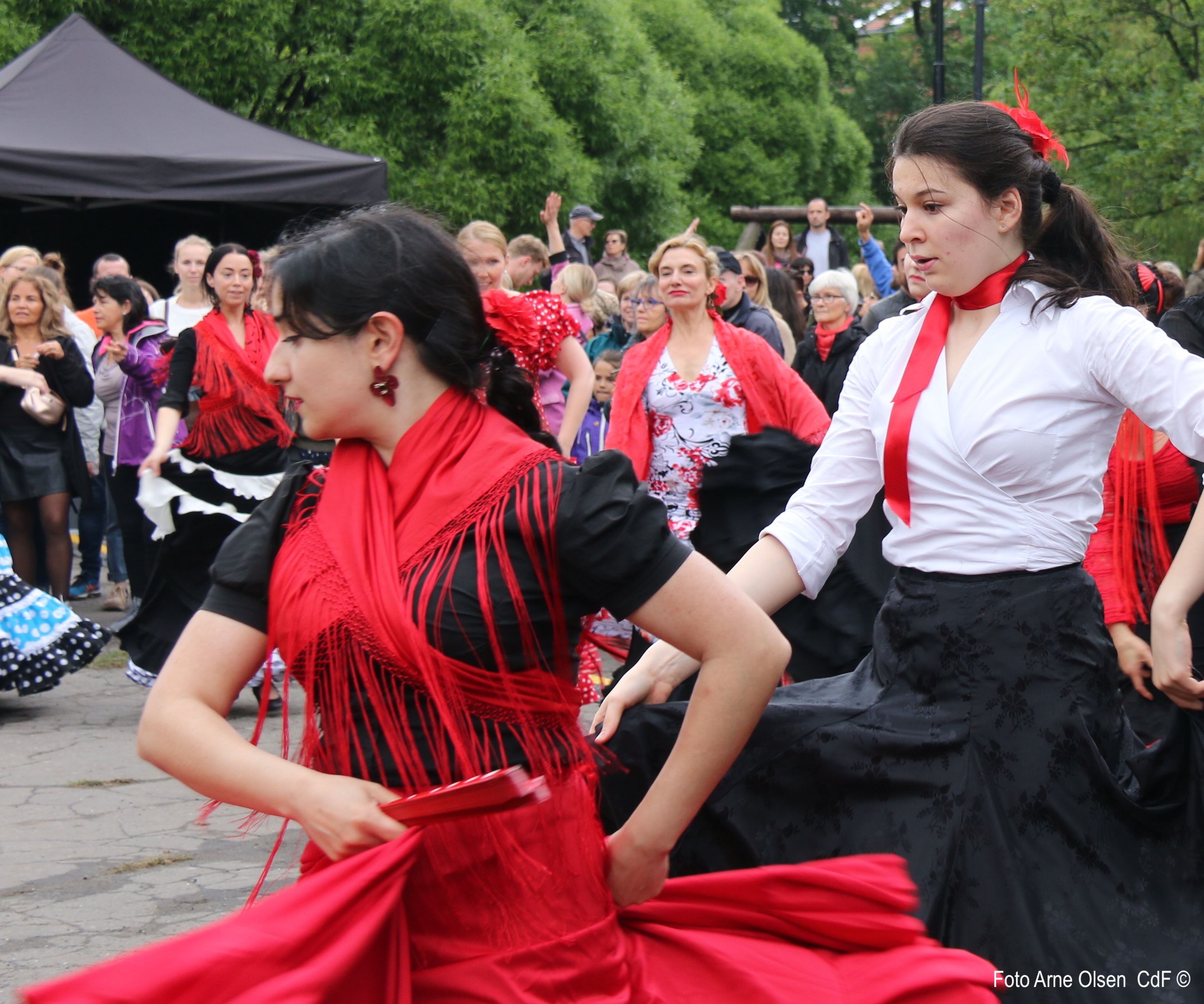 Musikkfest Oslo